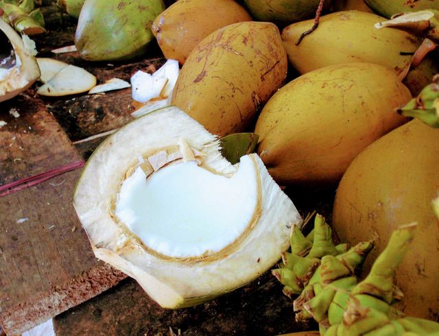 coconut