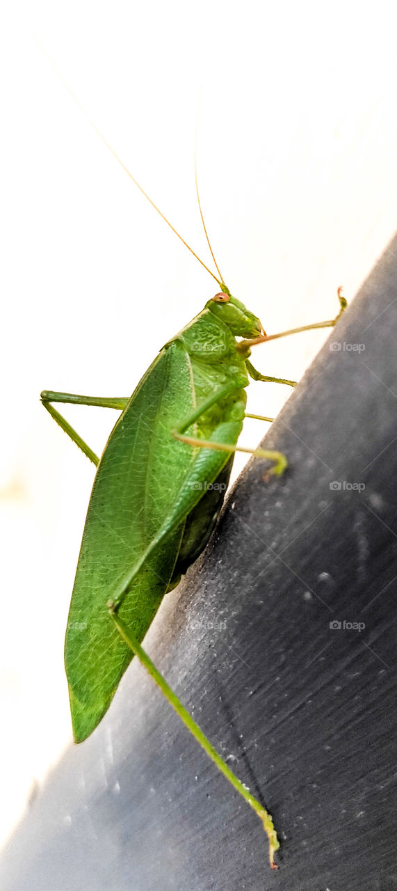 Cute little dude escaping the storm.