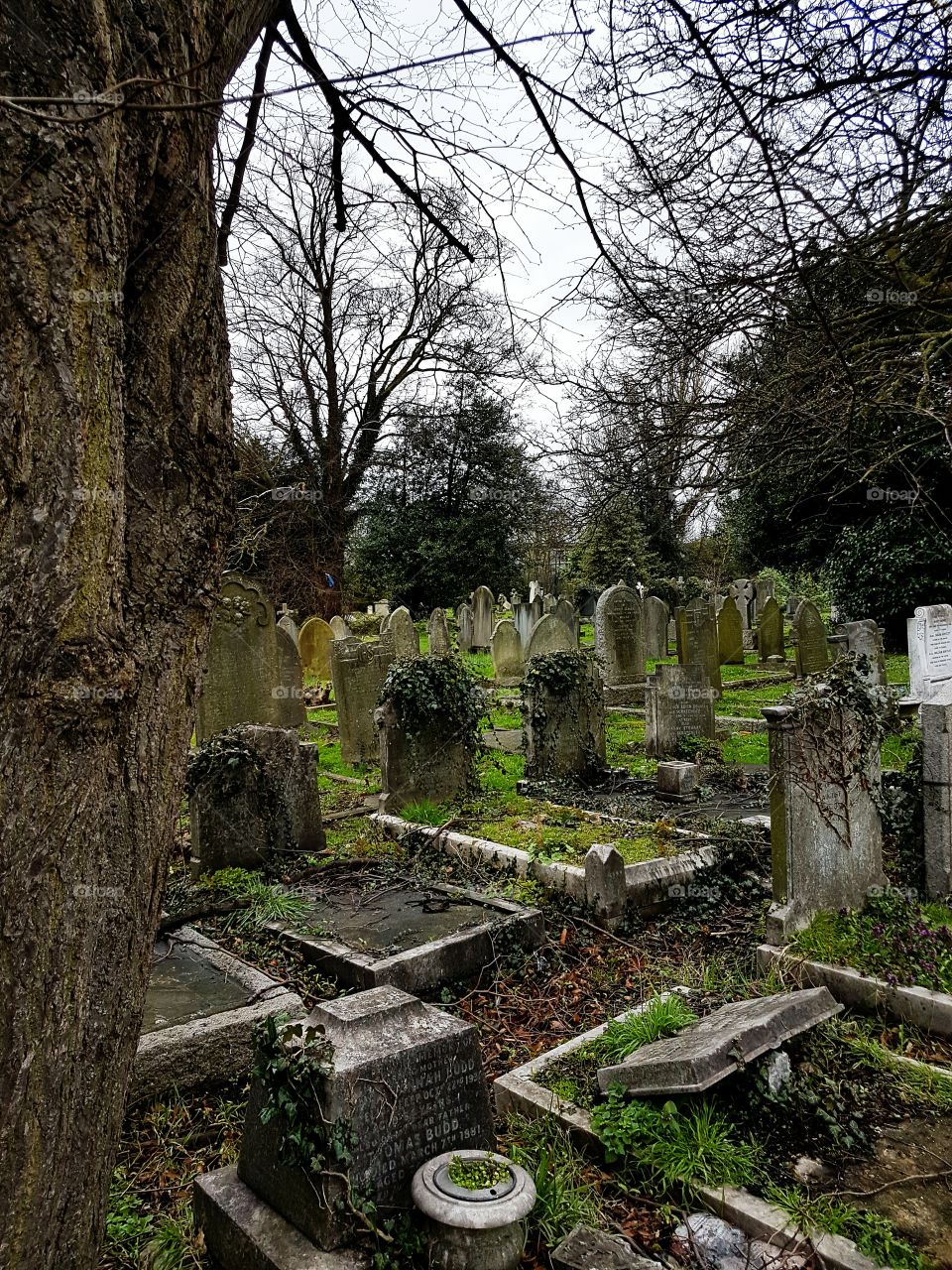 Graveyard. London, UK...