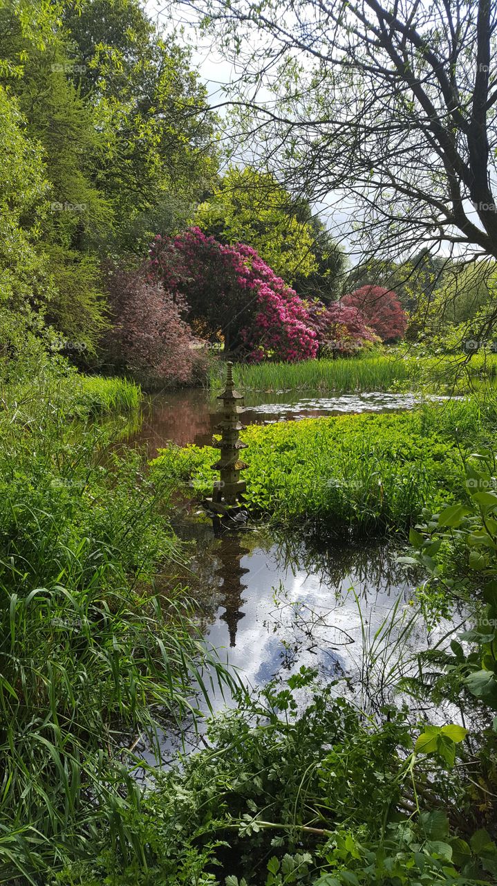 Pink flowers and pagoda in beautiful country estate gardens with Lake. Mount Stewart.