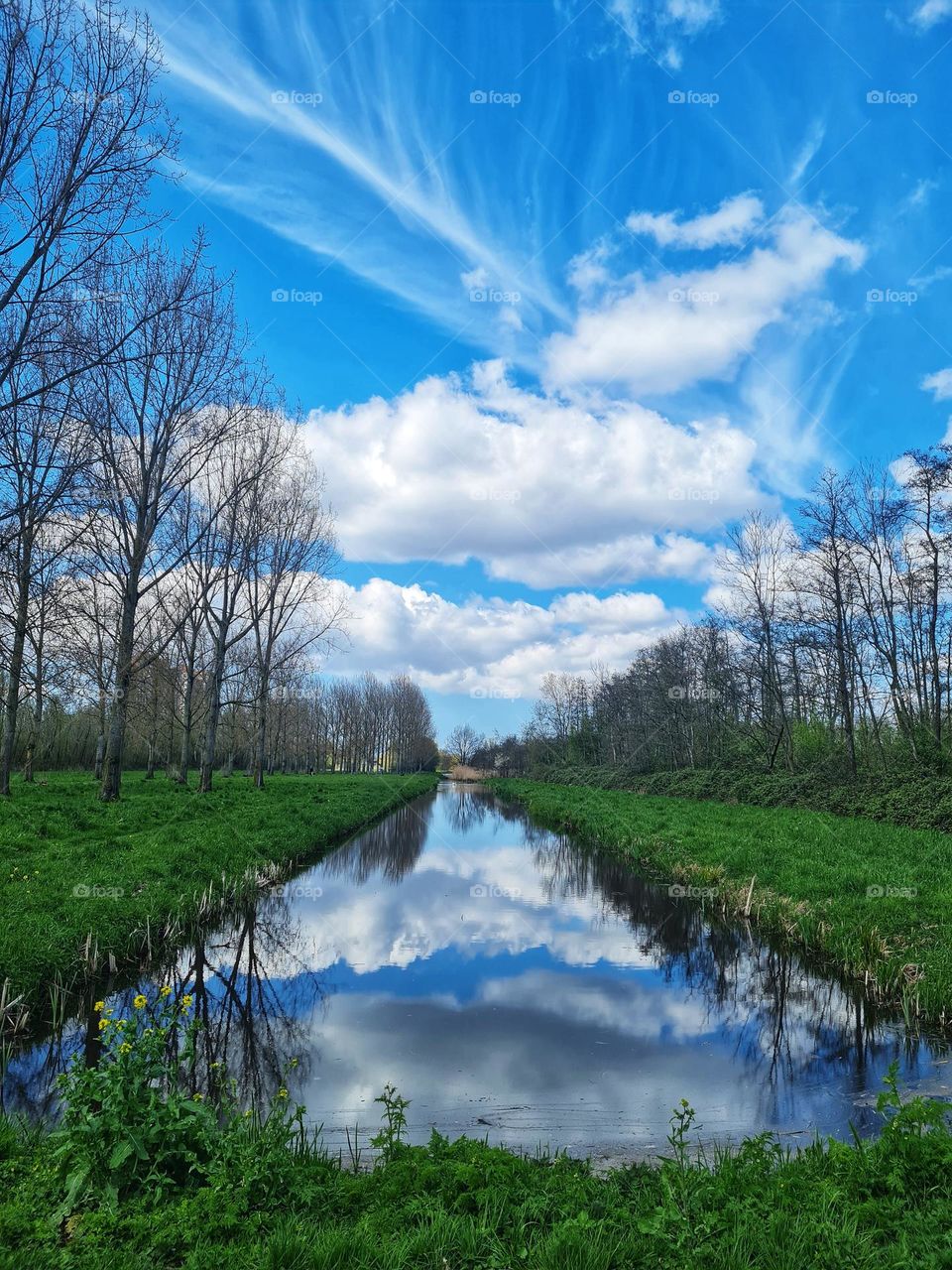 Feather in the sky