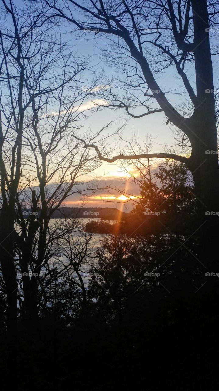 Tree, Dawn, Landscape, Sun, Sunset