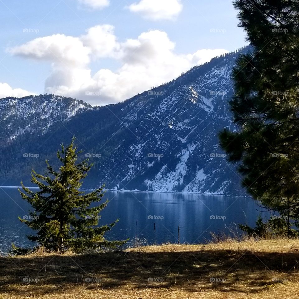 reflection of a snowy mountain side from a grassy shoreline on a spring hike