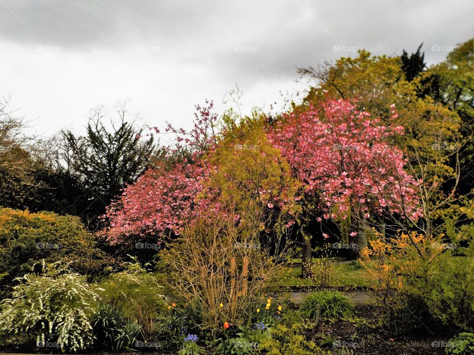 Just before the rain 