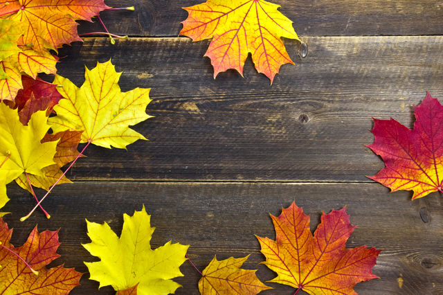 Autumn leaves fallen on wooden table