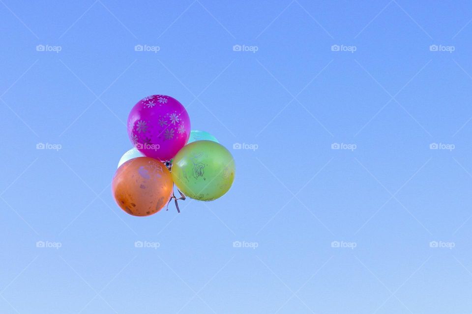 Balloons in the sky