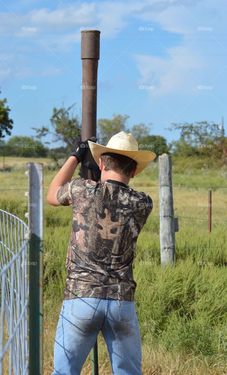 Young Texas cowboy building fence. Driving the t-post by hand. 
