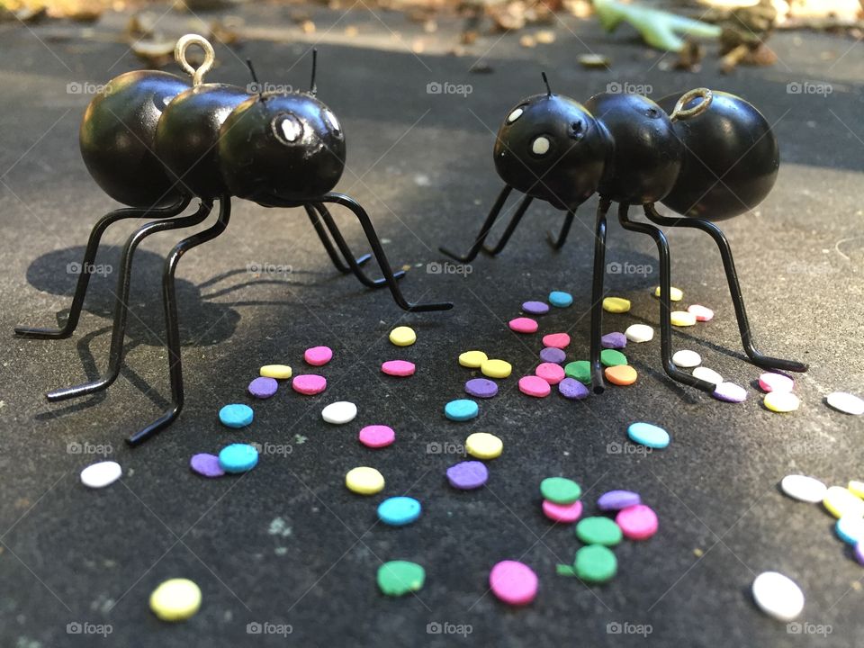 Larger than life ants enjoying sprinkles