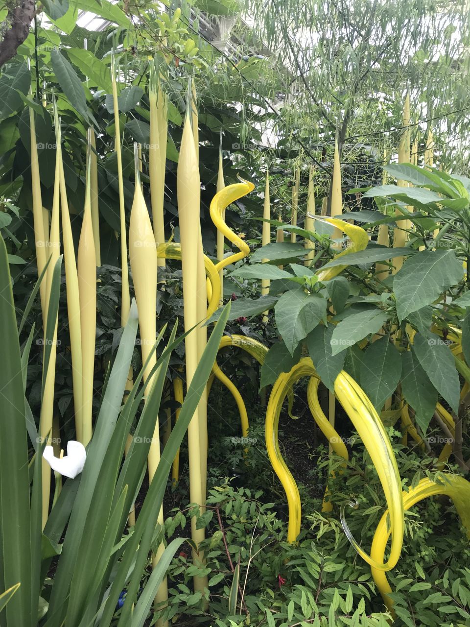 Yellow Chihuly Sculpture, Kew, London 