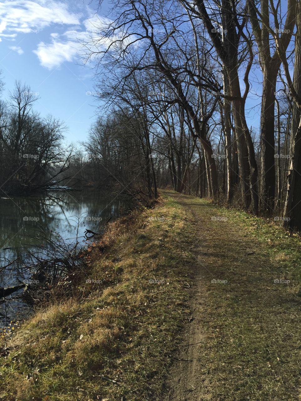 A Peaceful Trail 