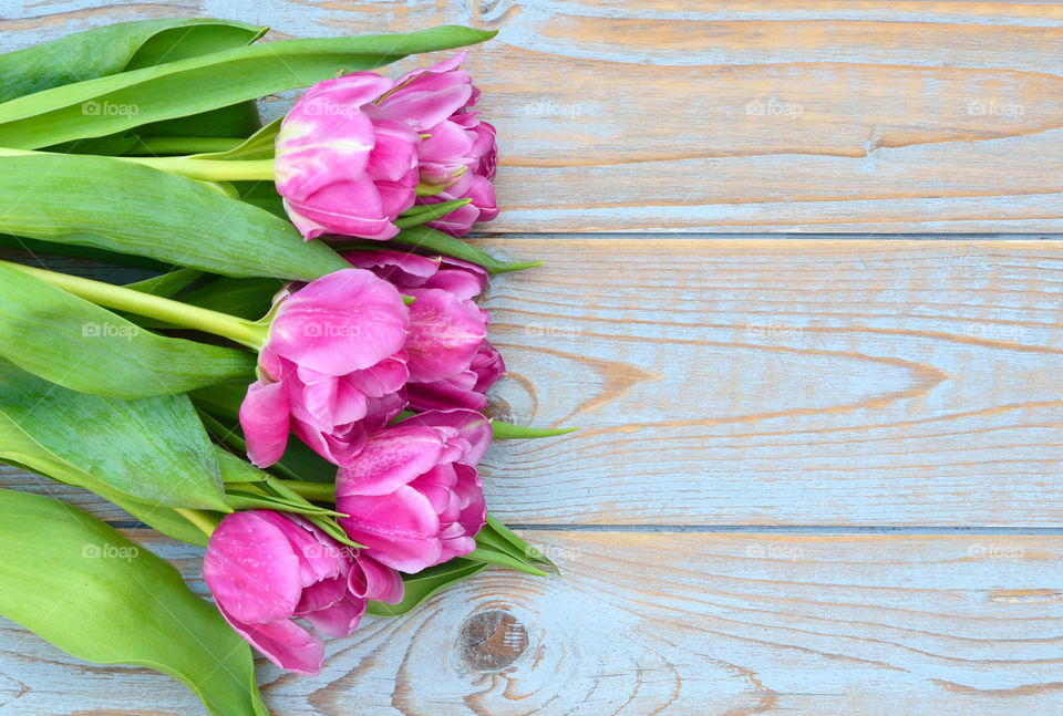 bouquet of pink spring tulips on a old wooden empty copy space background