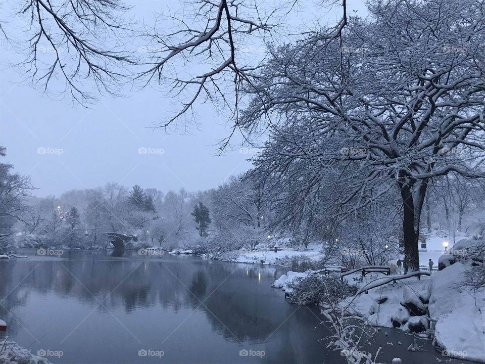 Snowy lake