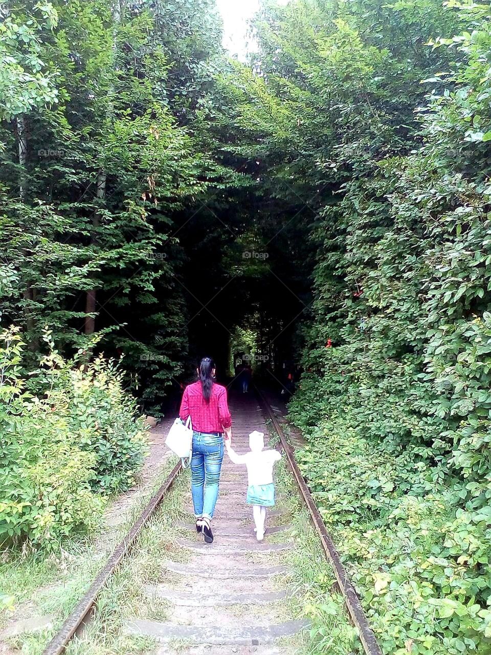 walking through a tunnel made of trees 🌳