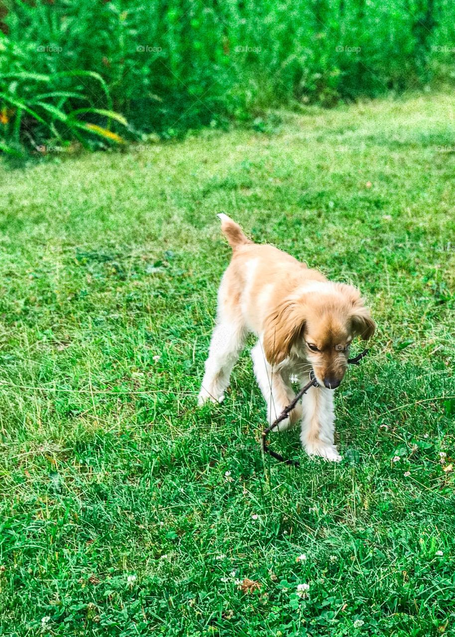 I love sticks for lunch 