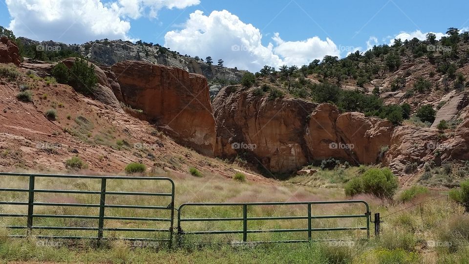 Amphitheater Canyon, NM