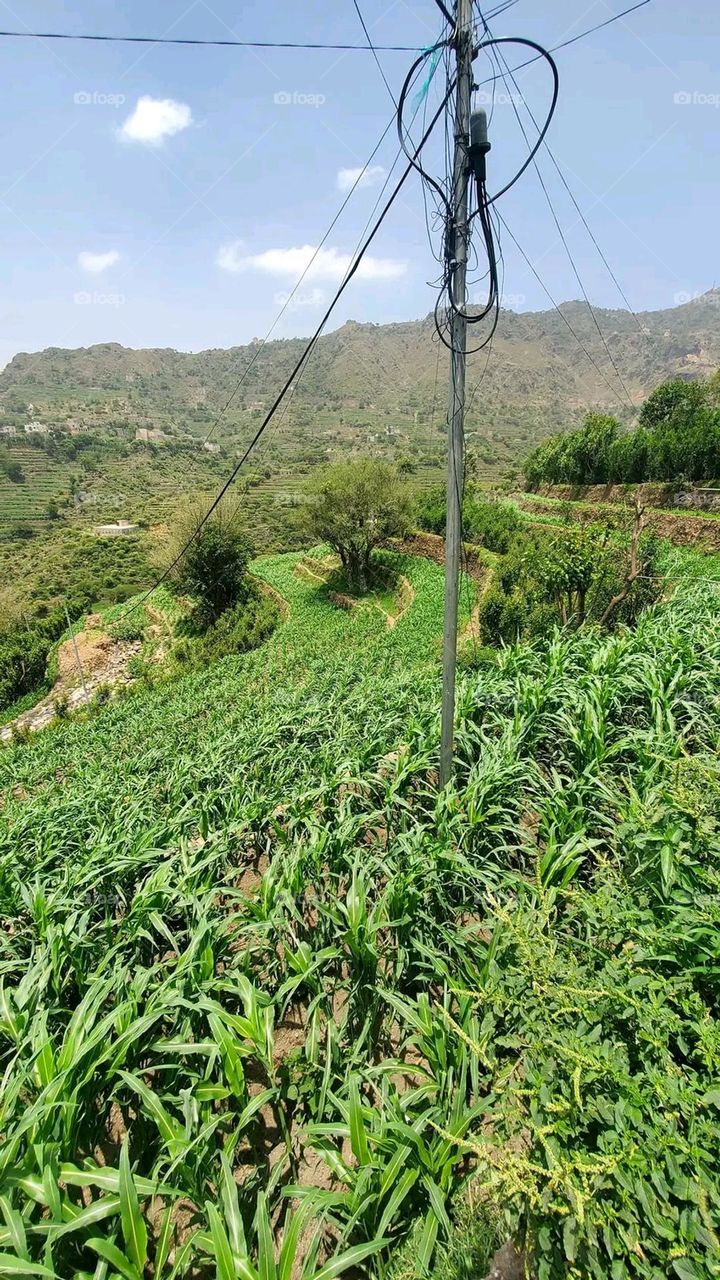 Glory be to God, the magnificent and picturesque view and the natural green trees are a view that is nothing more wonderful than it
