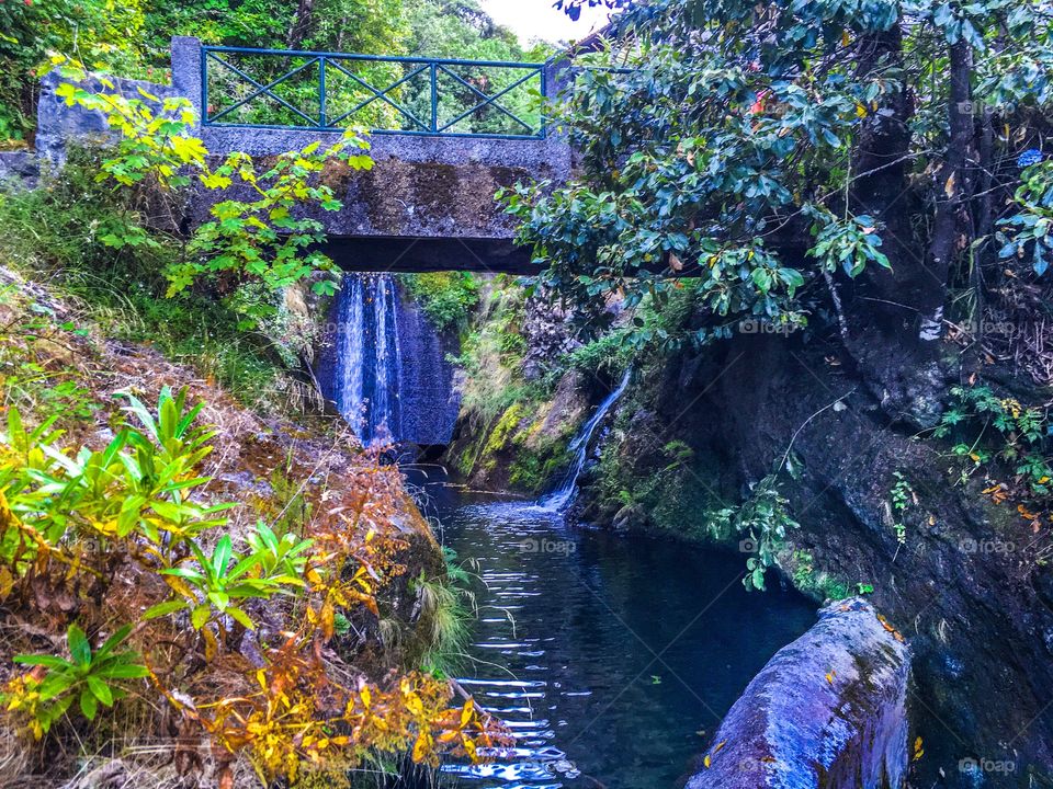 Ribeiro frio - Madeira Island
