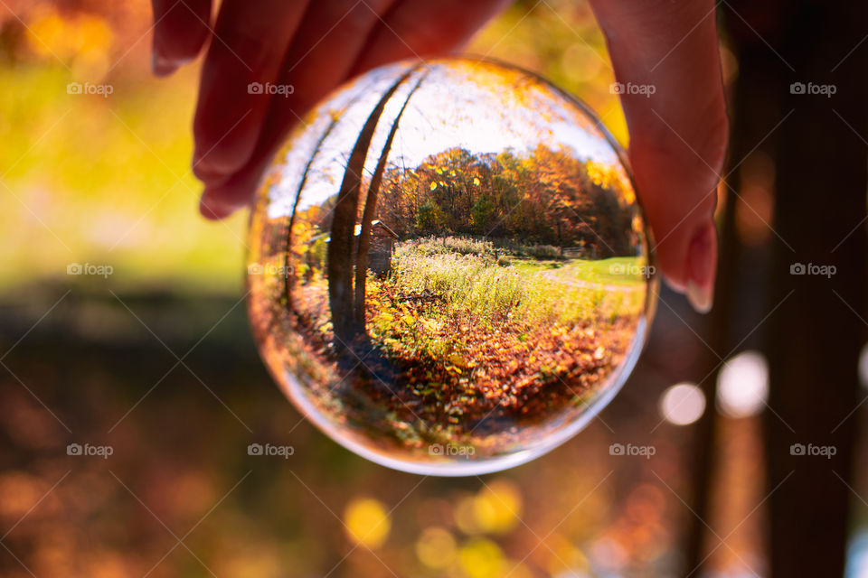 One of the fantastic features about the dragon is it can be accomplished in a range of unique styles, realistic or abstract, cartoonish or dramatic.