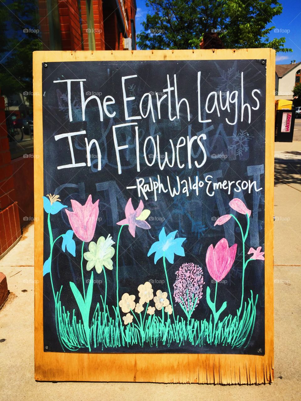 Earth Laughs in Flowers.... Boulder, CO