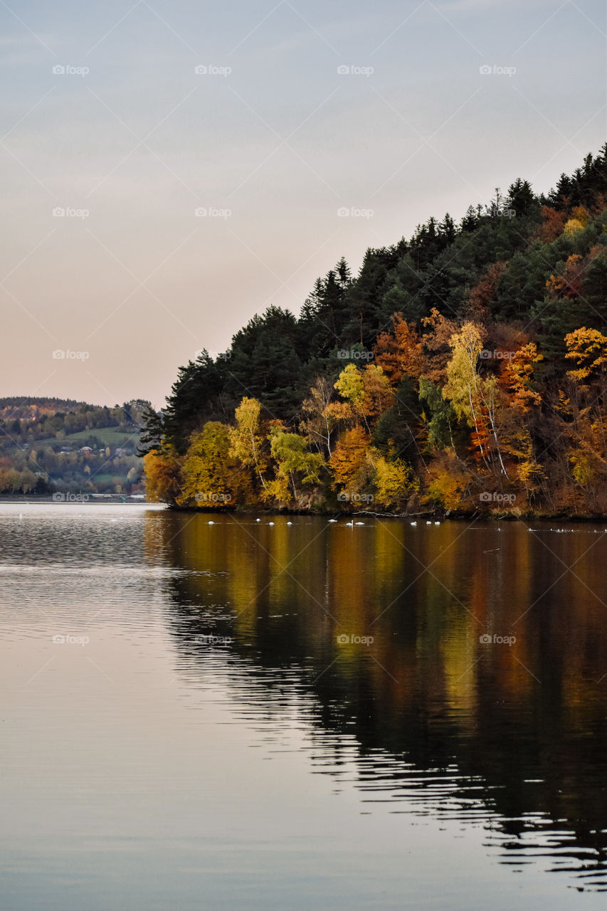 An autumn view | lake