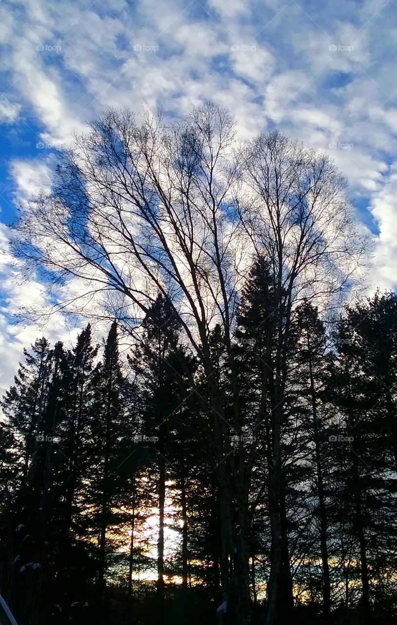 the beautiful colors just before sunset