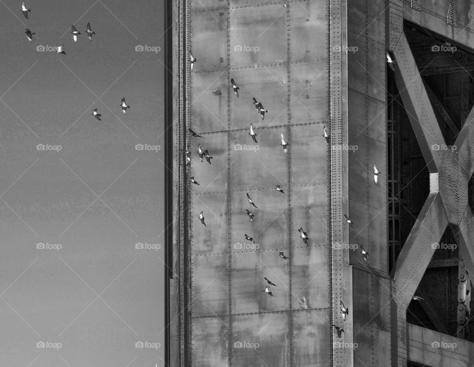 black and white architecture of a bridge