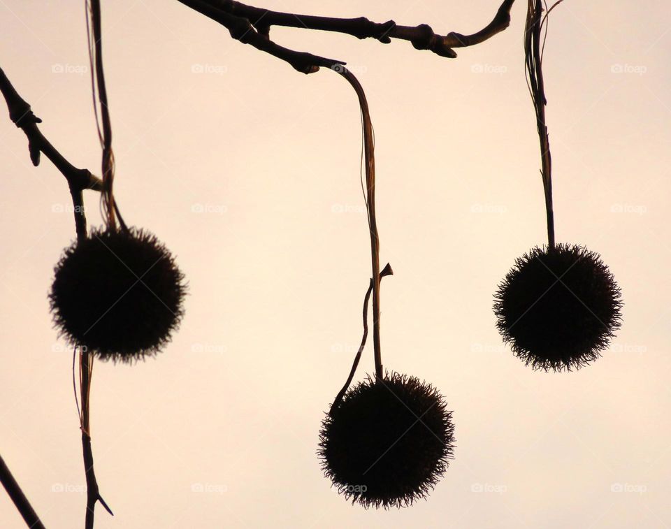 natural Christmas baubles