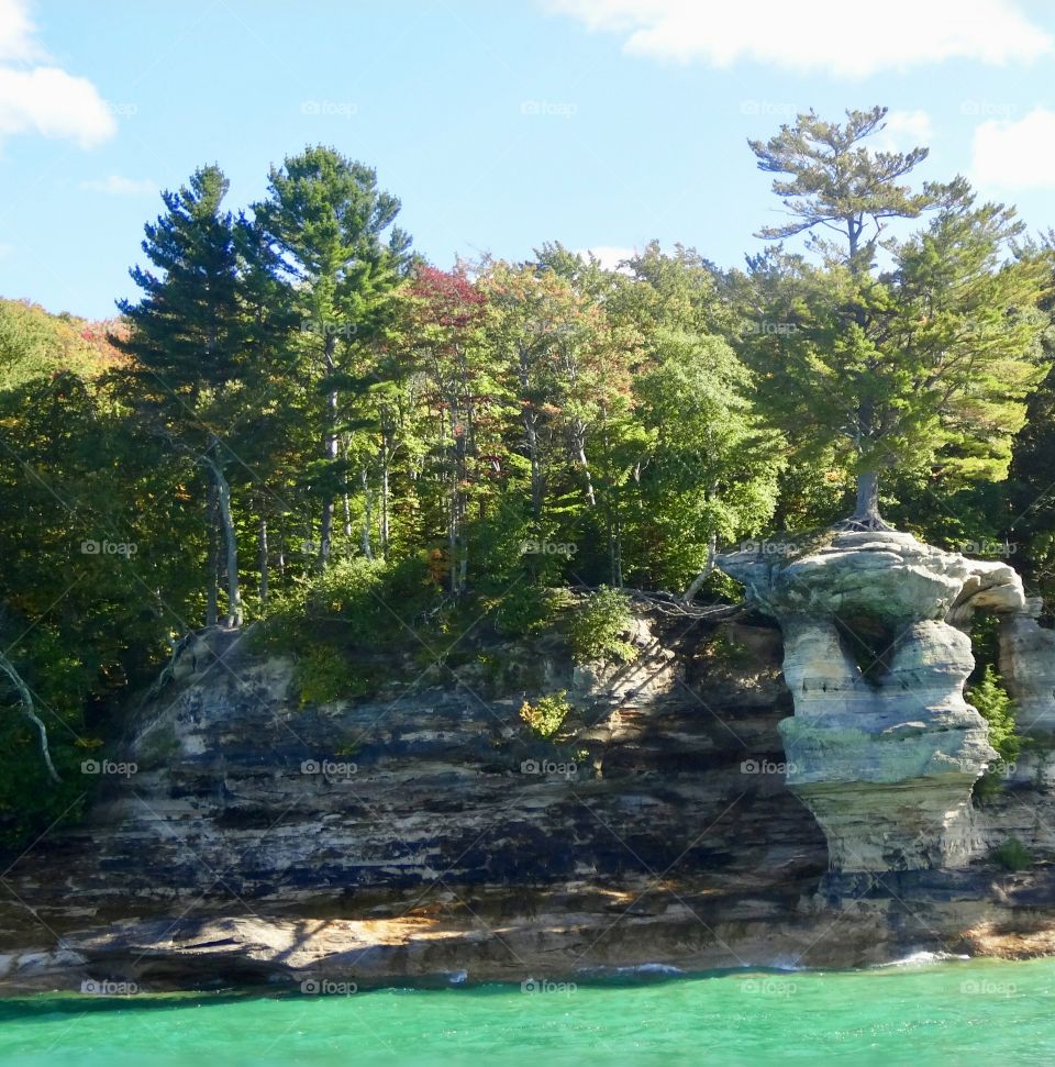 Pure Michigan Pictured Rocks Munising Michigan.  A tree that stands alone