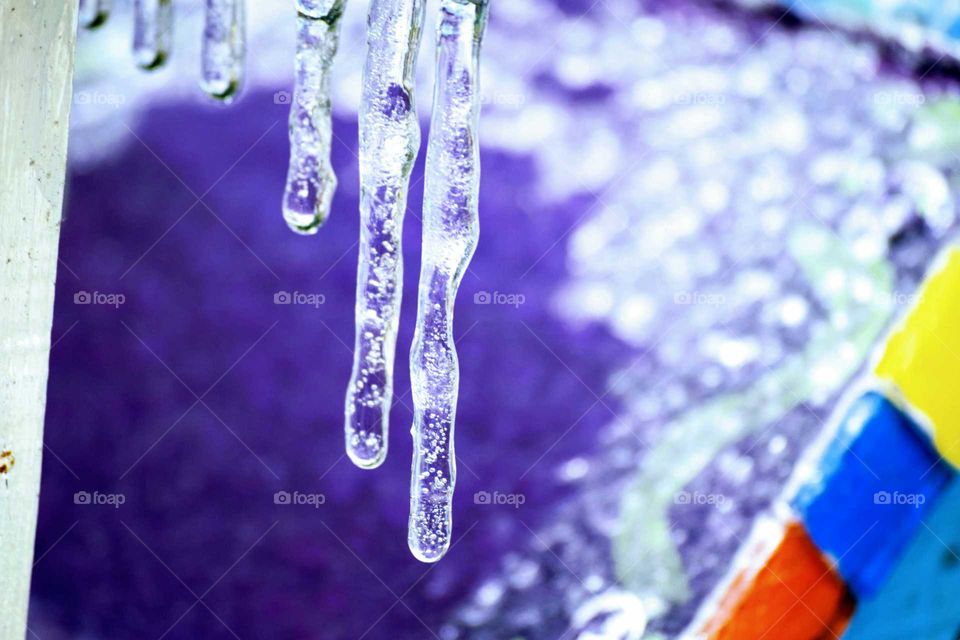 Close-up of icicles