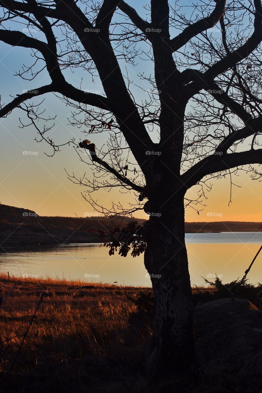 Sunset view of lake