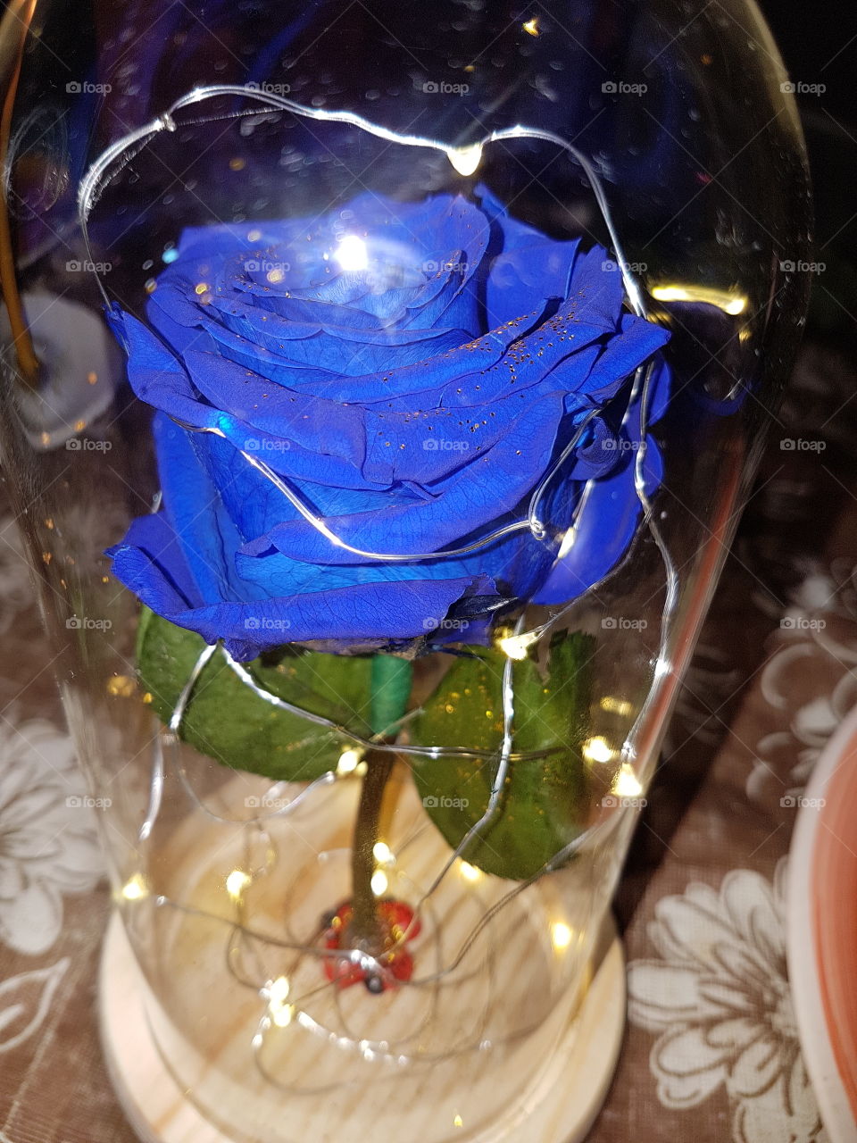 The way to my heart is Blue Roses