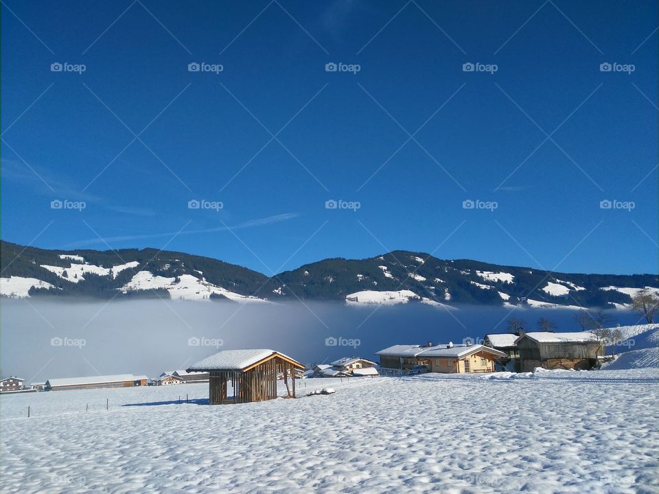 Nebel Winter Landschaft