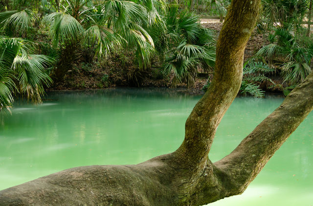 Green Pond from Sulfur