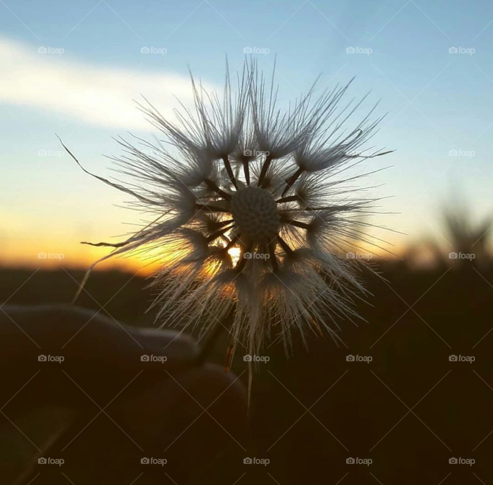 desert allways pervect place to clear your mind