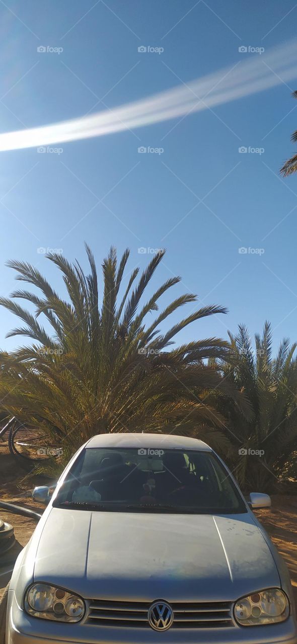 wolkswagen in garden