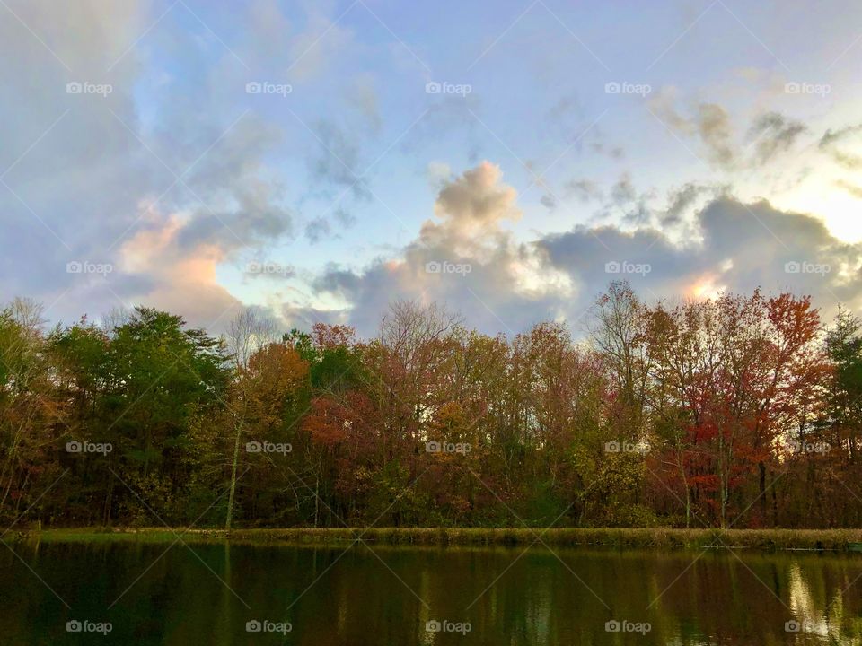 Autumn foliage at Bear Creek Wildlife Preserve 