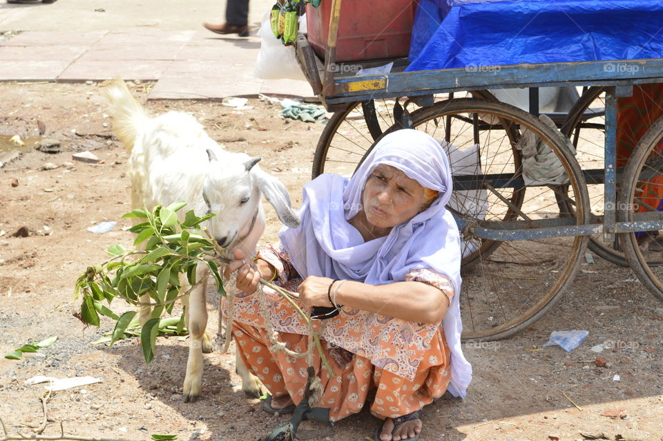 Goat and the owner
Rural India still living their life by selling living stock during emergency