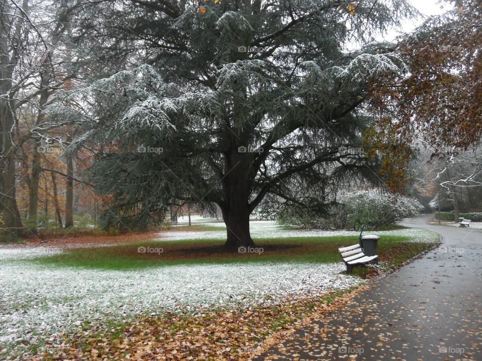 Parc de Mariemont , la louviere