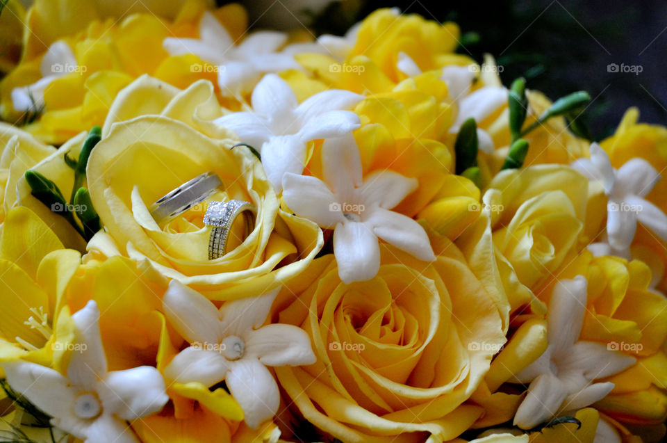 rings in flowers 