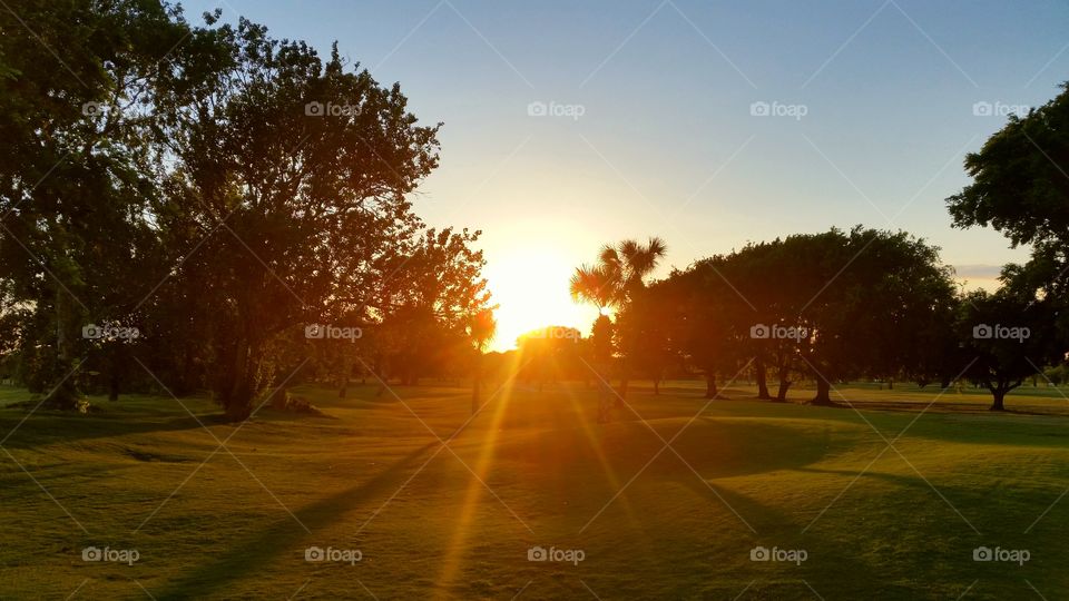 golfing  sunset