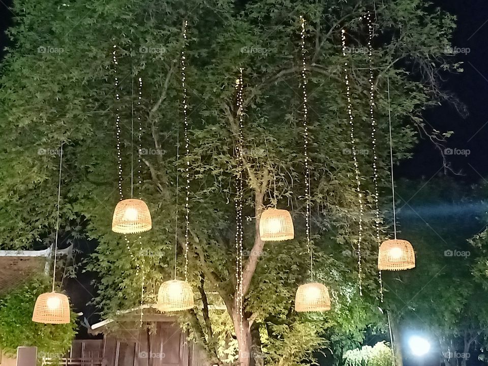 Lamp on the tree.