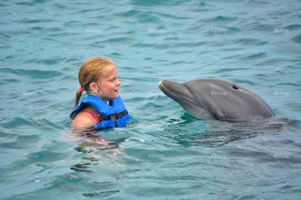 Swimming with dolphins