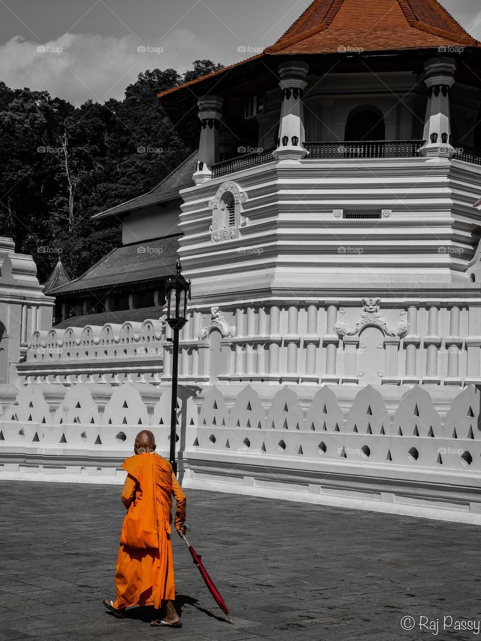 In search of enlightenment