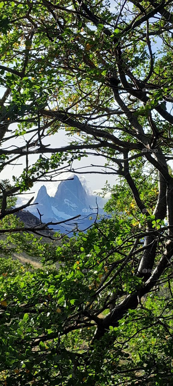 Chalten, cerro de mi Patagonia