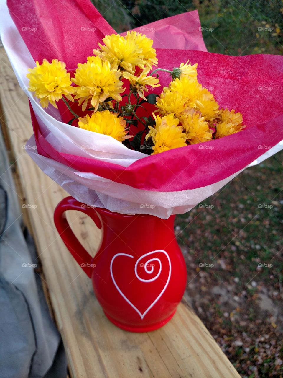 No Person, Flower, Nature, Summer, Leaf