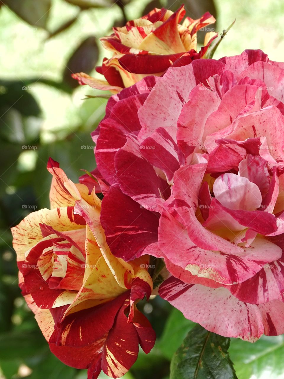 It all depends on how you look at it