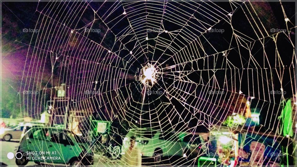 Spider web !