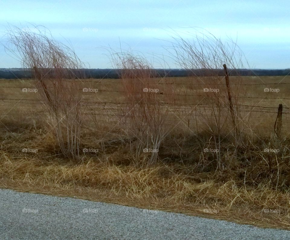 Land Pasture Field Acreage
Develop This