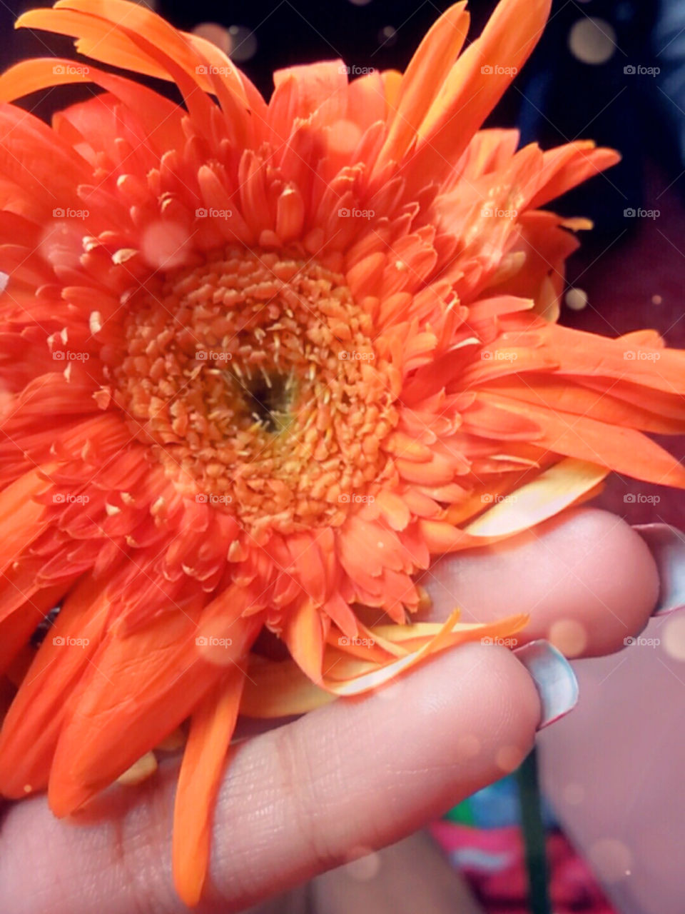 We should enjoy this summer, flower by flower, as if it were to be the last one we'll see. .