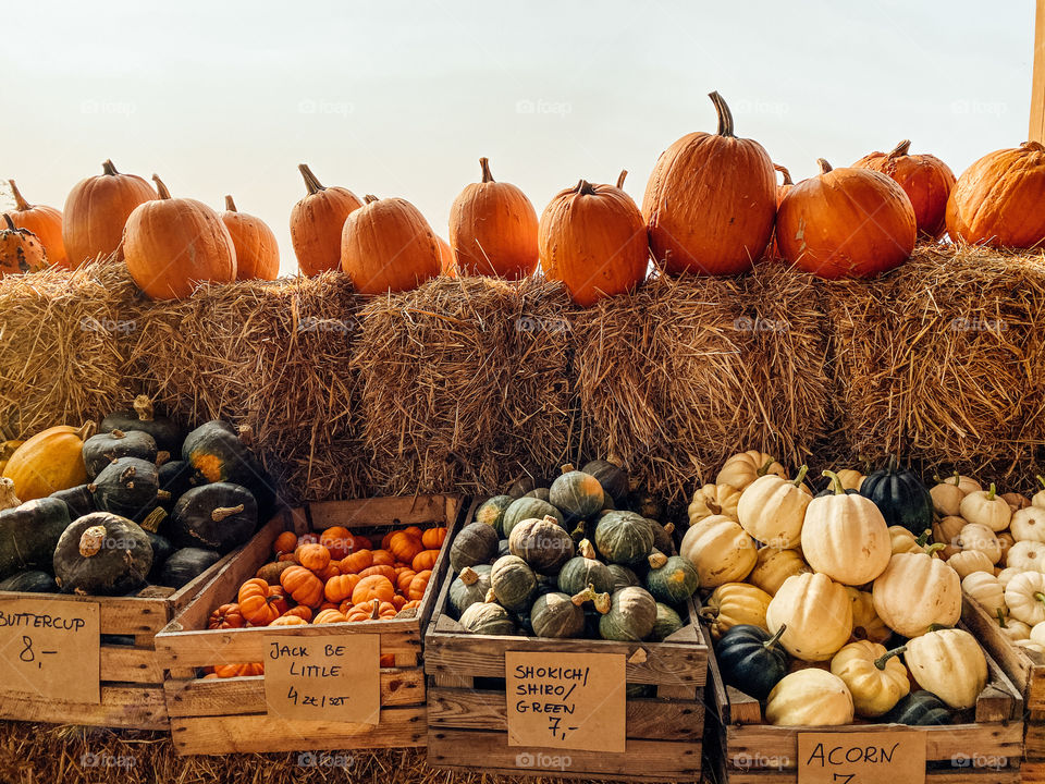 Pumpkins